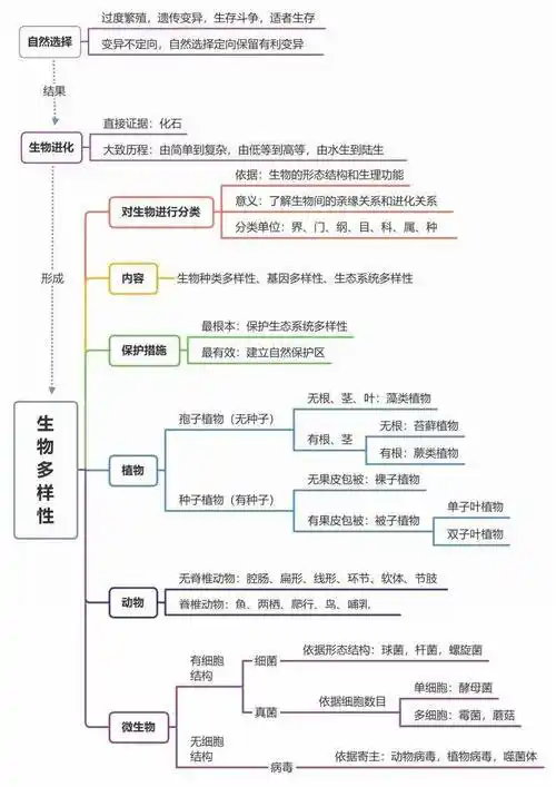 初中生物思维导图总结