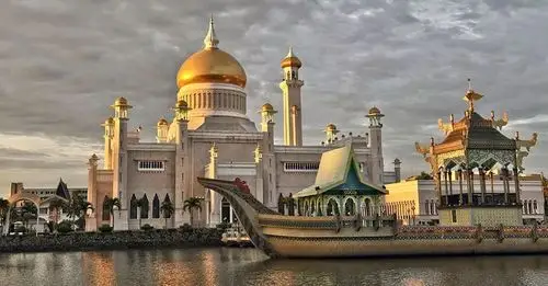 文莱皇室御用虾品水里捞出来就能吃是世界公认三大优良虾种之一