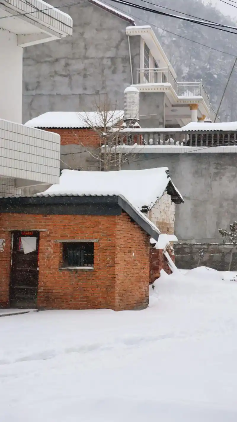 大雪后的农村景象 #家乡的雪  西安又下雪了,虽然还是心生 - 抖音