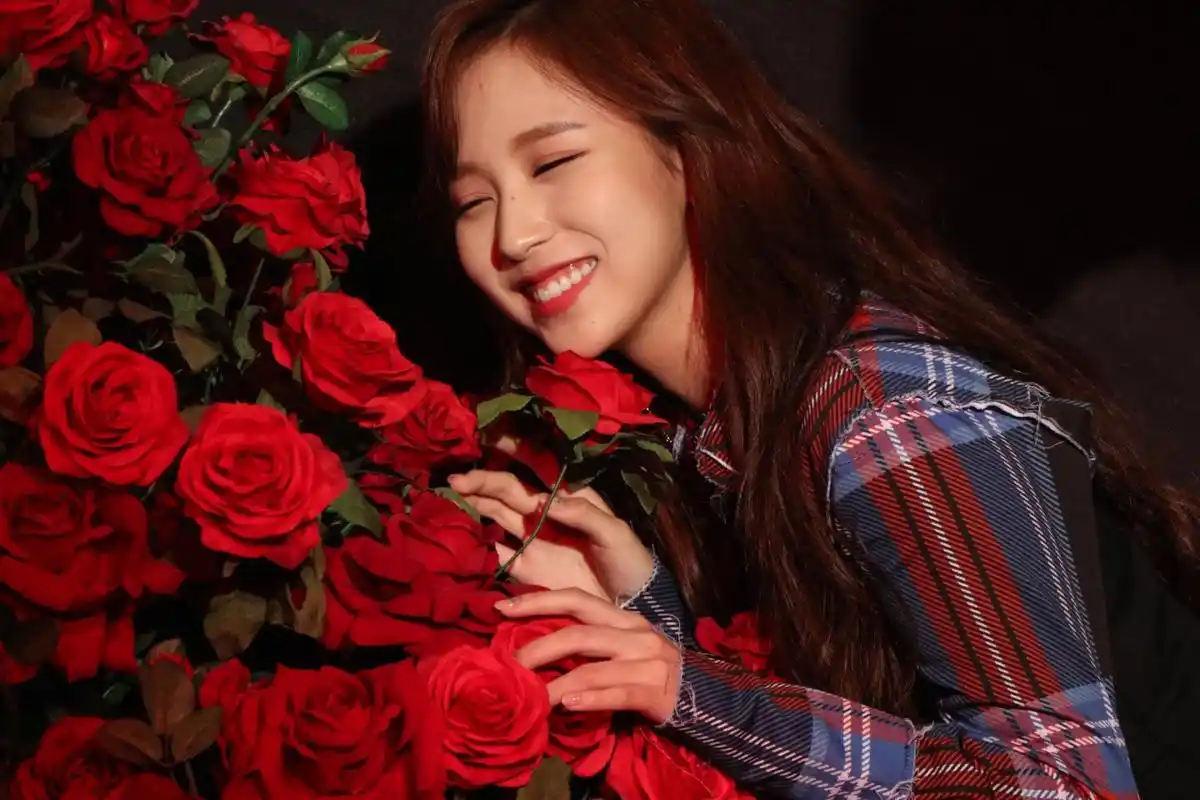 名井南 - 堆糖,美图壁纸兴趣社区