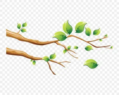 手绘卡通树枝素材