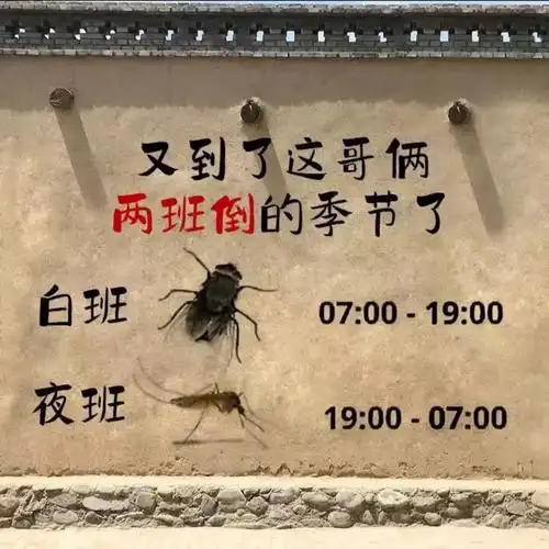 搞笑  #搞笑图片  #内容过于真实  #沙雕搞笑图片