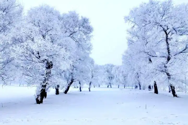 此时,黄河流域一带已渐有积雪,而在更北的地方,则已大雪纷飞