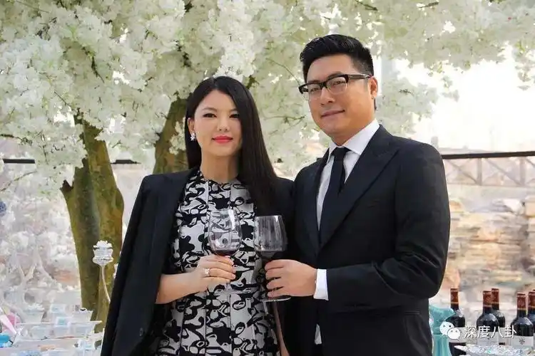 那个总帮老公们洗白的女主持人