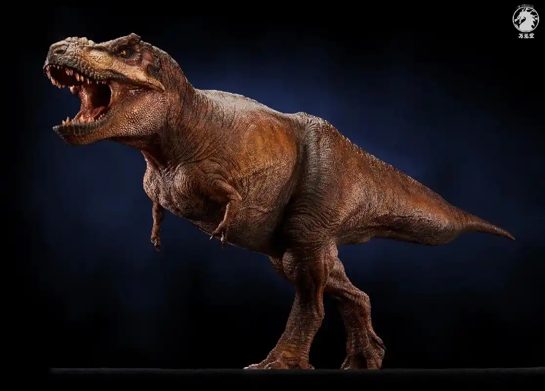 万茏堂科学复原霸王龙| 本人作品 本人拍摄万茏堂的新产品,设计师结合
