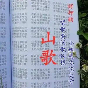 民间山歌四句情歌歌词男女对唱加厚书籍云南 四川 湖南 贵州适用