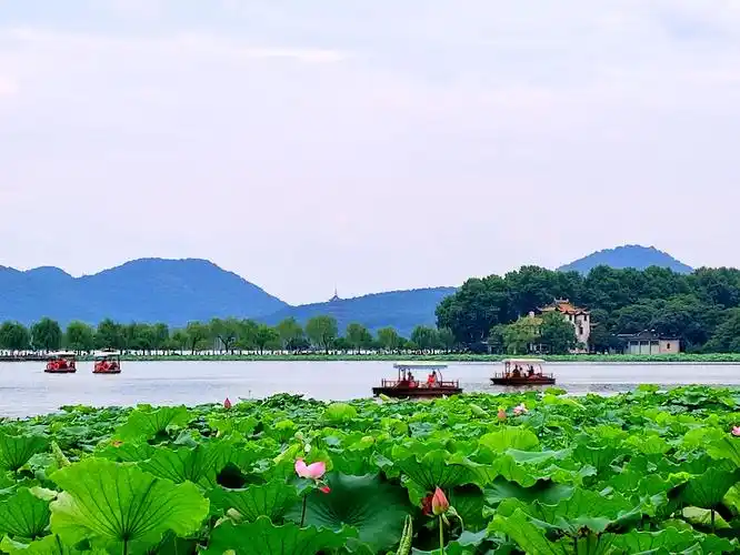 (首发) 醉美西湖六月中