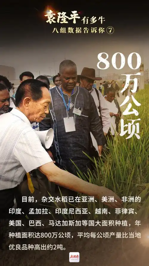 袁隆平有多牛?八组数据告诉你