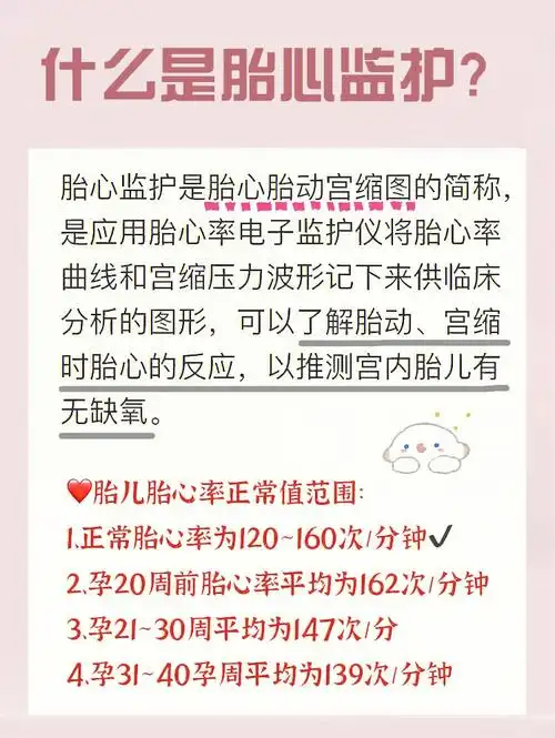 胎心率多少正常高低能看男女