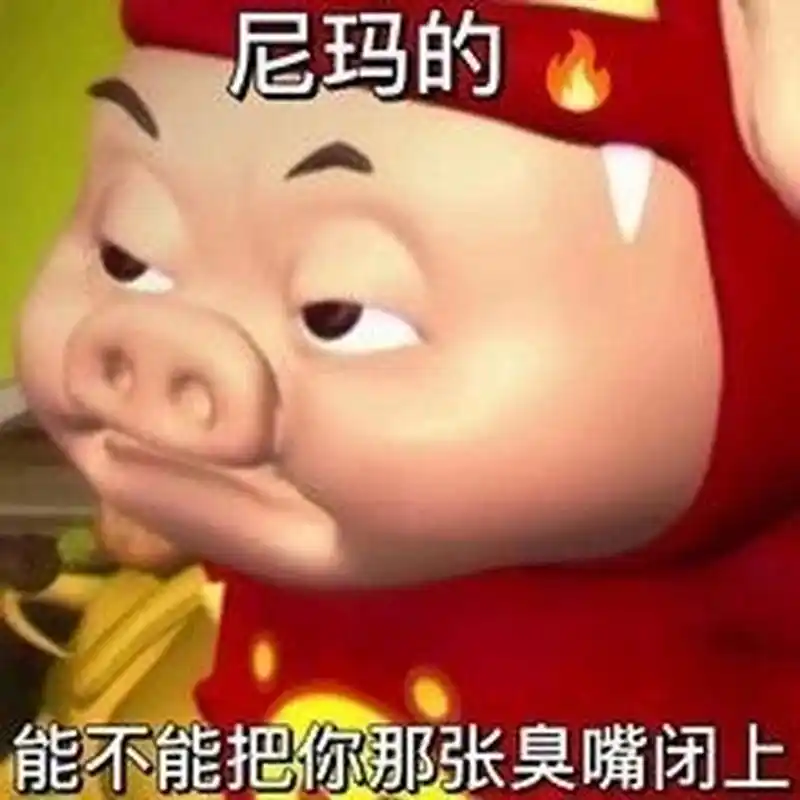 老版本猪猪侠每一帧都是表情包