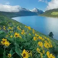 犹如仙境的人间美景_唯美风景头像_微信头像图片大全