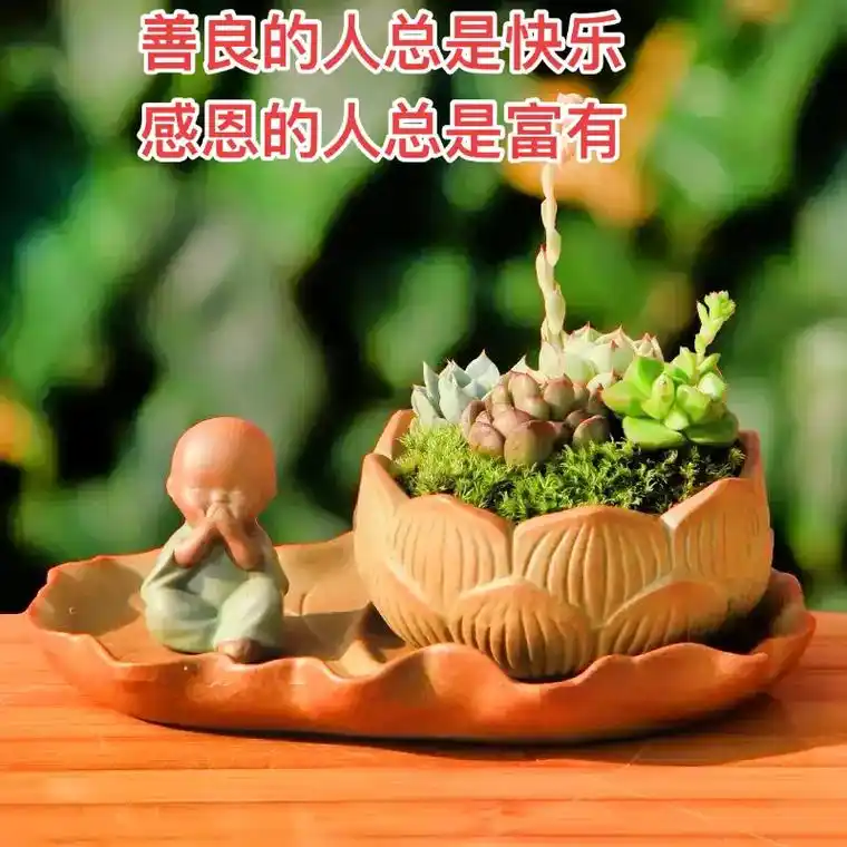 善良的人总是怀着一颗感恩的心,对帮助过自己的人时刻铭记在心, - 抖