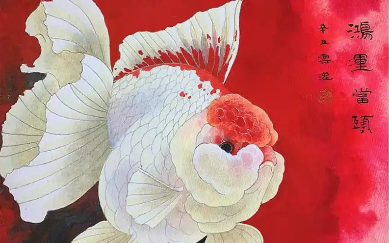 鸿运当头 金鱼主题手绘工笔画
