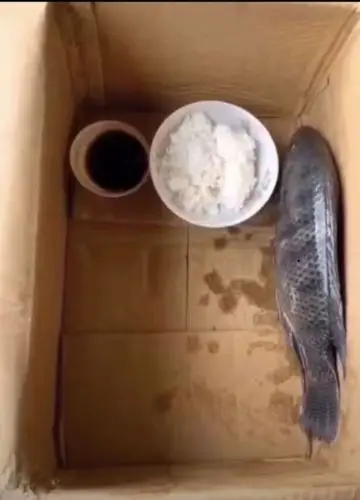 搞笑趣图带着闺女去抓鱼我回去该怎么跟媳妇说呢