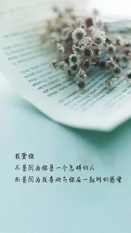 唯美爱情文字语句