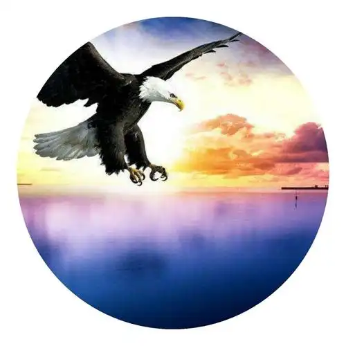 原创《雄鹰》震撼美诗诵