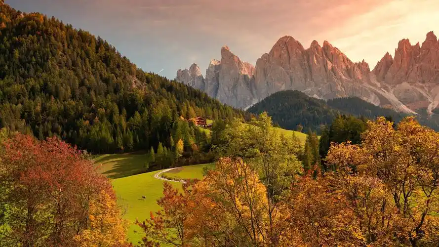 秋从落叶始夜却渐渐凉秋风秋景愁煞人