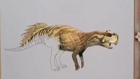 来自森林里的画板精灵教你画鹦鹉嘴龙