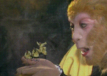 六小龄童版的《西游记》是几代人心目中的经典,六小龄童对美猴王的