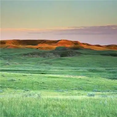 唯美草原微信头像