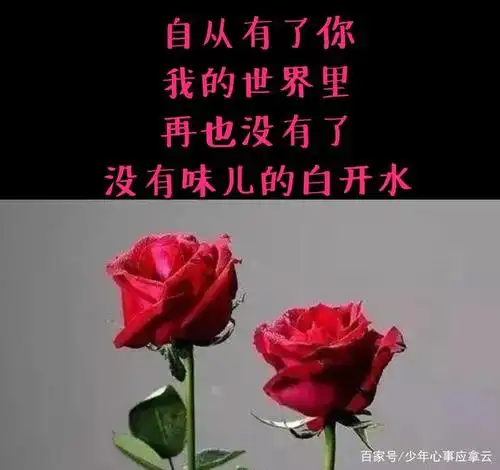 情人节,那些送给情人最暖心的情话