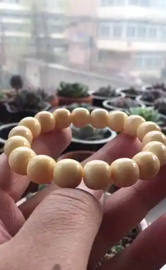 抹香鲸全芯髓心孔12*11手串18颗—长春纪念|收藏品