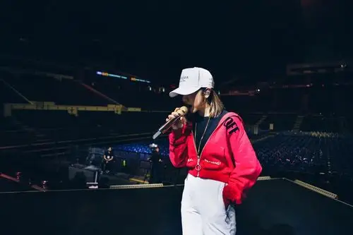 邓紫棋 - 堆糖,美图壁纸兴趣社区