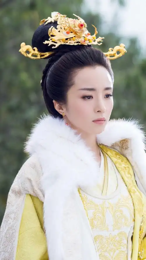 独孤天下独孤伽罗胡冰卿