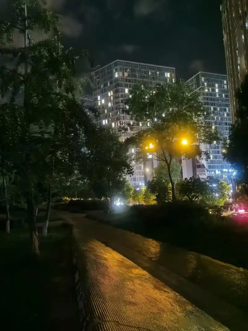 小公园与小区仅仅隔着一条马路,马路那边的小区,灯火通明,热闹非凡.