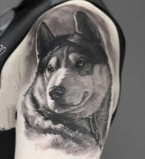 乖巧可爱的宠物狗纹身图案