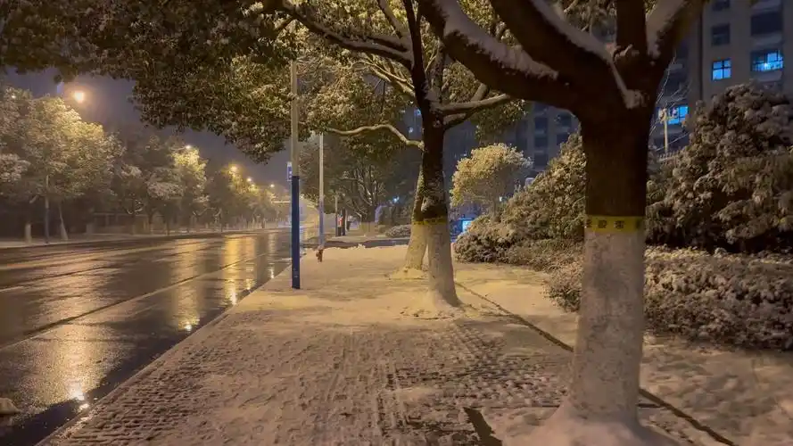 小米14夜景下雪录像效果-bili_2108613196-bili_2108613196-哔哩哔哩