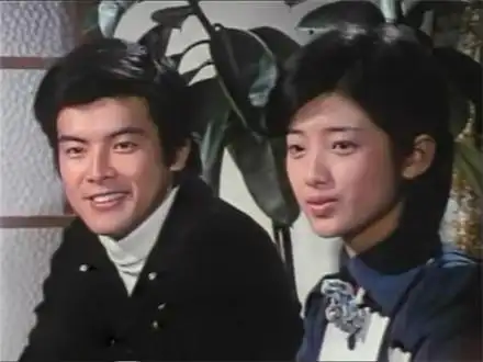 上世纪80年代在中国播出的日本电视剧《血疑》曾引发万人空巷的效应