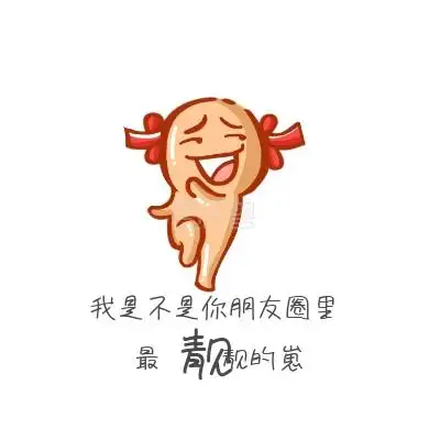 朋友圈沙雕表情包封面