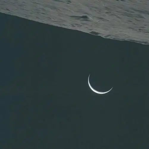 收集了一些极简主义的性冷淡风头像以后换微信头像使用