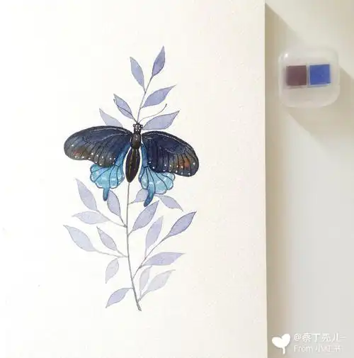 庄生晓梦迷蝴蝶03简单水彩画教程