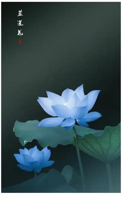 它就像是一朵美丽的蓝莲花.