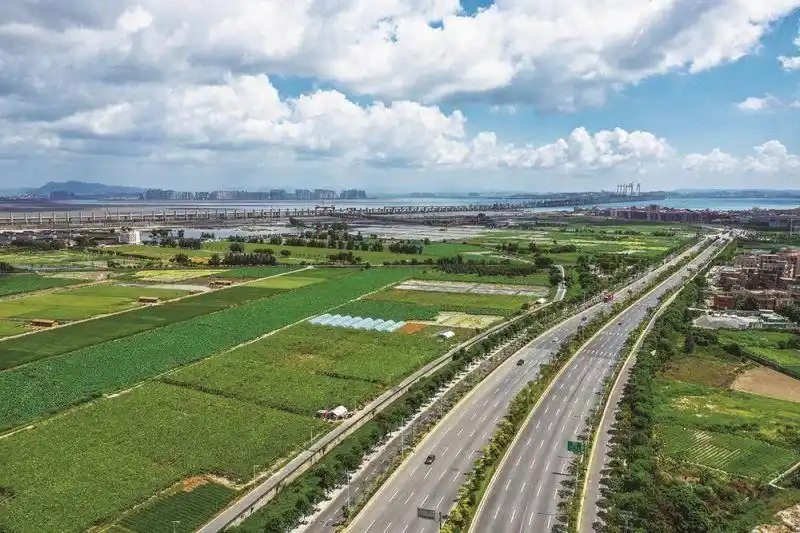 夏日里的石狮湿地公园