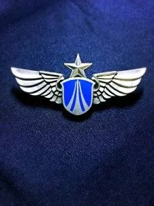 中国空军胸标