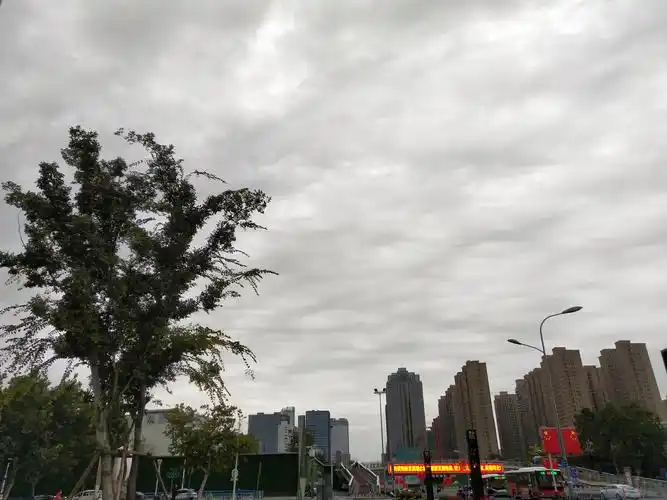 石家庄的阴雨天气