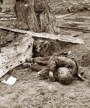 相煎何太急!血腥记录同室操戈结局(组图)