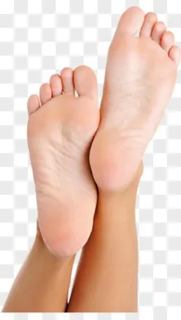 小脚丫脚丫卡通小脚丫猴子累xlsepsaipsd全部格式近期上传热门下载