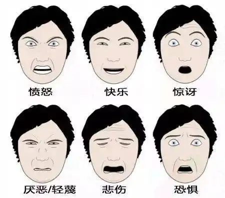 人类的微表情有何用