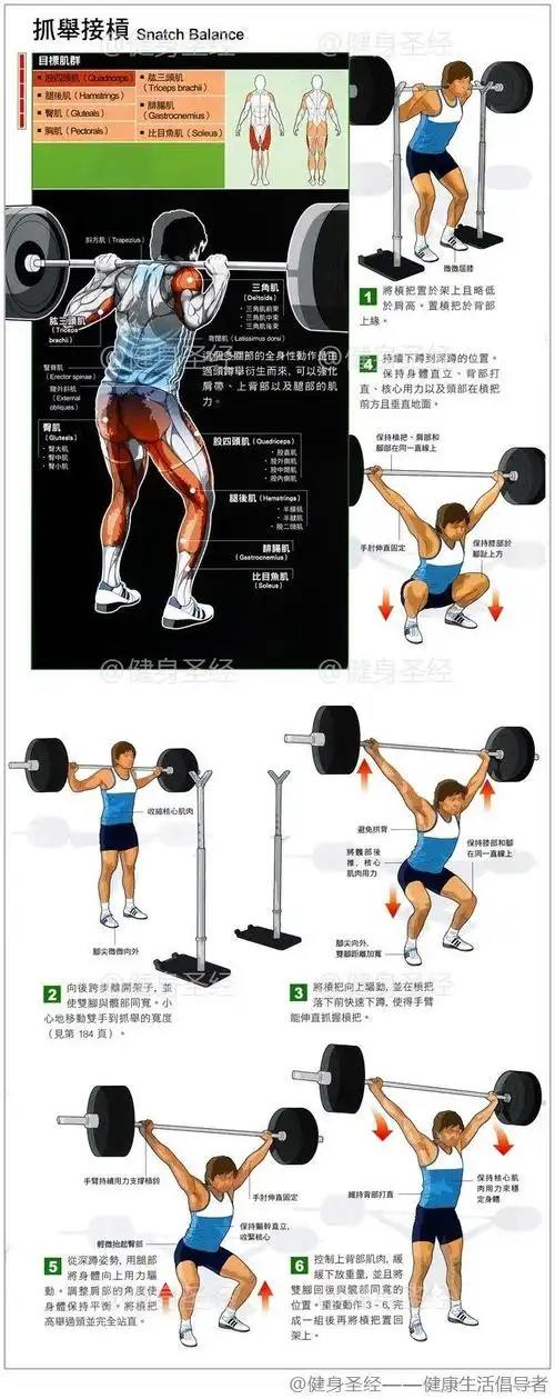 全身性动作是由过头蹲举衍生而来,可以强化肩带,上背部以及腿部的肌肉