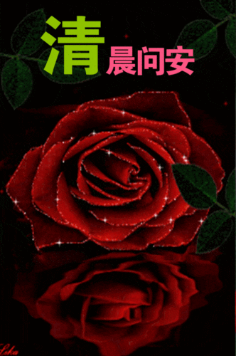 可爱的早上好带字表情包暖暖的祝福愿各位亲友们一切安好