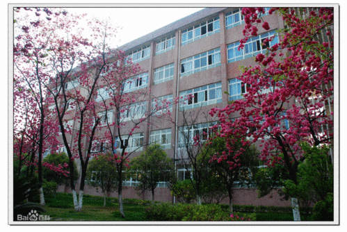 云南省楚雄第一中学