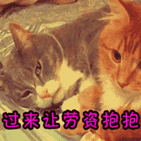 斗图过来让劳资抱抱抱抱你gif动图_动态图_表情包下载_soogif