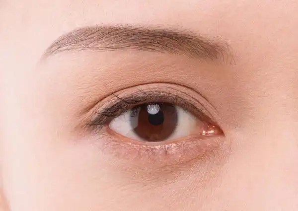 引用 人的一生会遇上的四个人