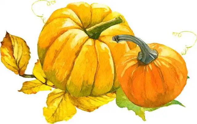 彩绘风南瓜水彩矢量元素