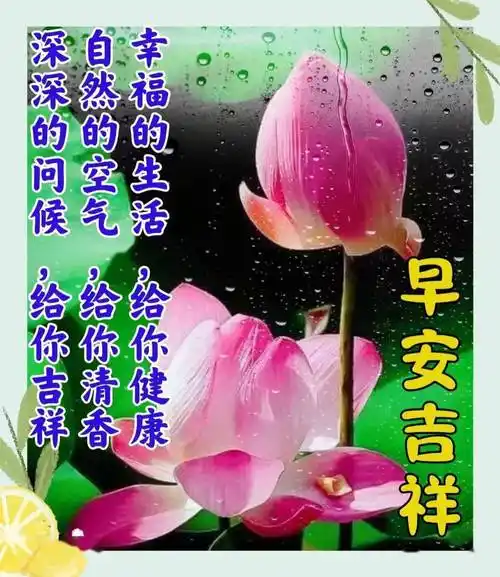 早安祝福精选图文大全