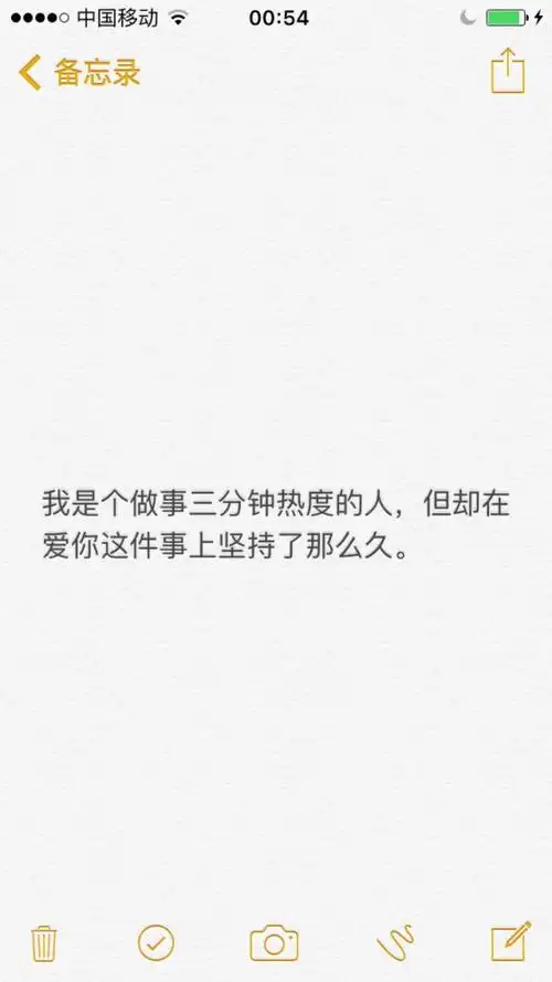 我是个做事三分钟热度的人,但却在爱你这件事上坚持了那么久.